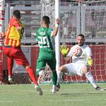 Domenico Maggio Giappone Cicala